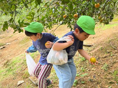 ガジマル保育園