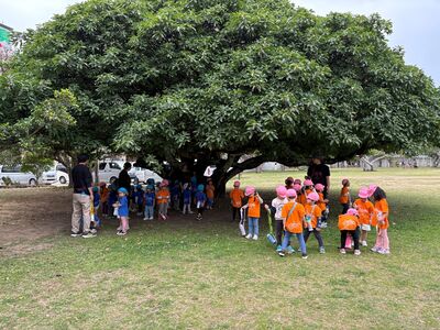 ガジマル保育園