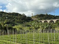 ガジマル保育園