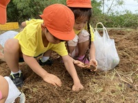 ガジマル保育園