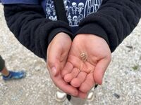 ガジマル保育園