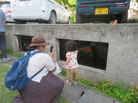 あじゃ保　B