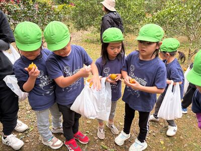 ガジマル保育園