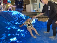 ガジマル保育園