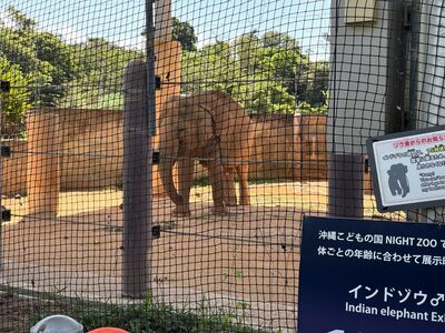 ガジマル保育園