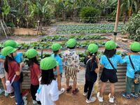 ガジマル保育園