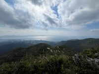 ガジマル保育園