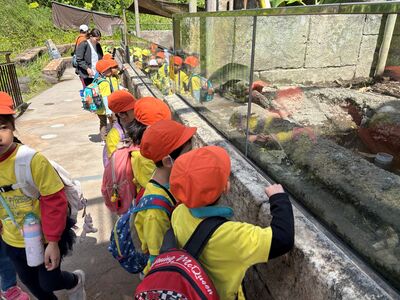 ガジマル保育園