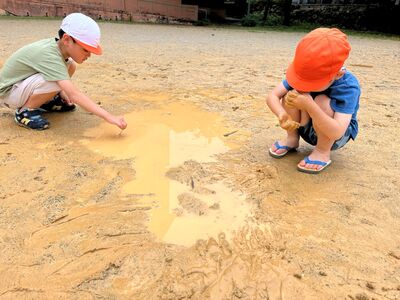 ガジマル保育園