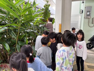 ガジマル保育園