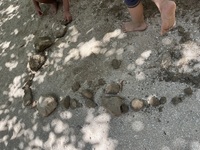 ガジマル保育園