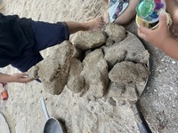 ガジマル保育園