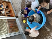 ガジマル保育園