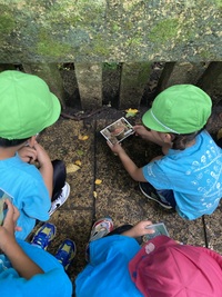 ガジマル保育園