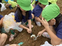 ガジマル保育園