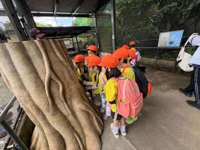 ガジマル保育園