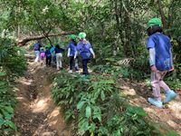 ガジマル保育園