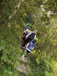 ガジマル保育園