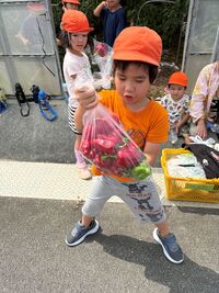 ガジマル保育園