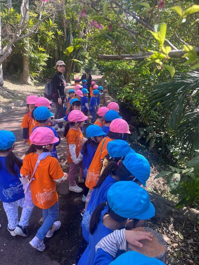 ガジマル保育園