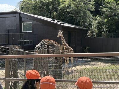 ガジマル保育園