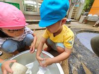 ガジマル保育園