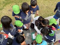 ガジマル保育園