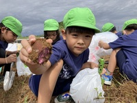 ガジマル保育園