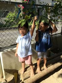 ガジマル保育園