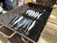 ガジマル保育園