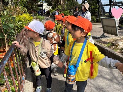 ガジマル保育園