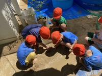 ガジマル保育園