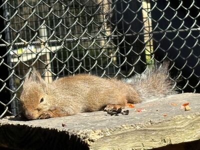 ガジマル保育園