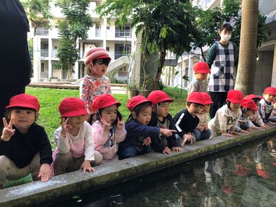 ガジマル保育園