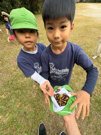 ガジマル保育園