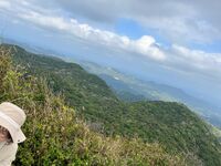 ガジマル保育園