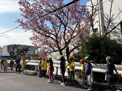 ガジマル保育園