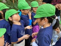 ガジマル保育園