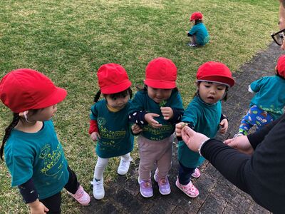 ガジマル保育園