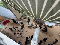 ガジマル保育園