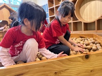 あじゃ保　1日目