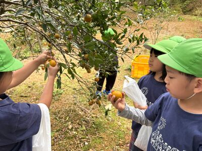 ガジマル保育園