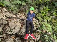 ガジマル保育園