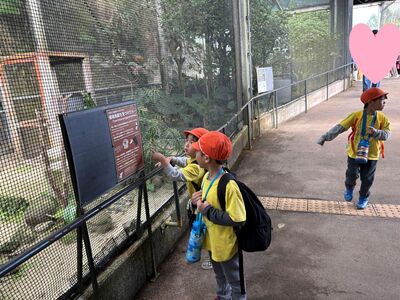 ガジマル保育園