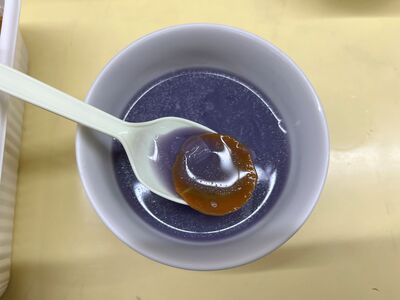 ガジマル保育園