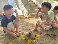 ガジマル保育園