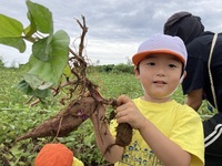 ガジマル保育園