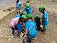 ガジマル保育園