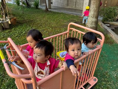 ガジマル保育園