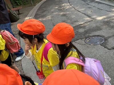 ガジマル保育園